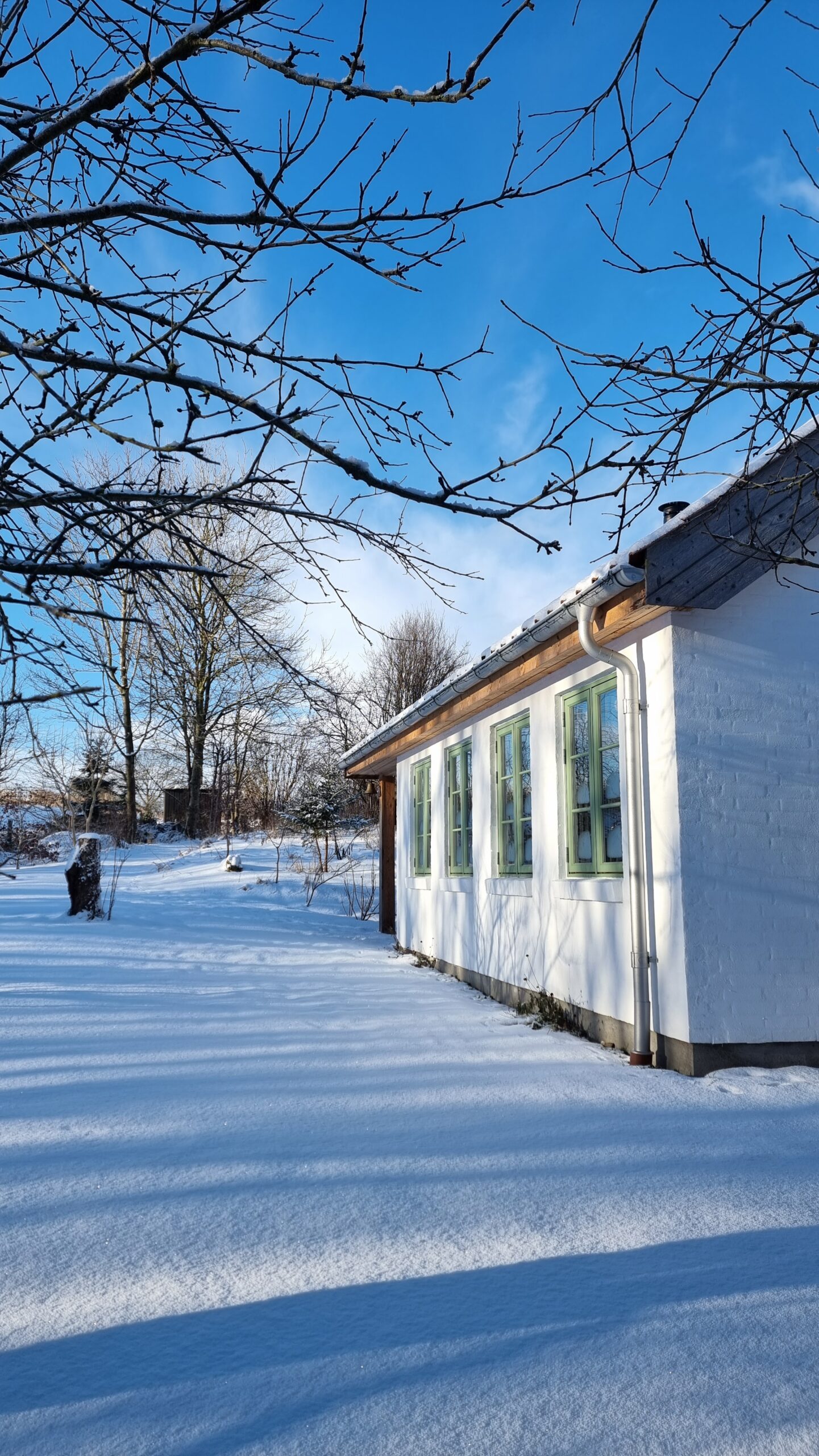 Susan 15. februar 2025
