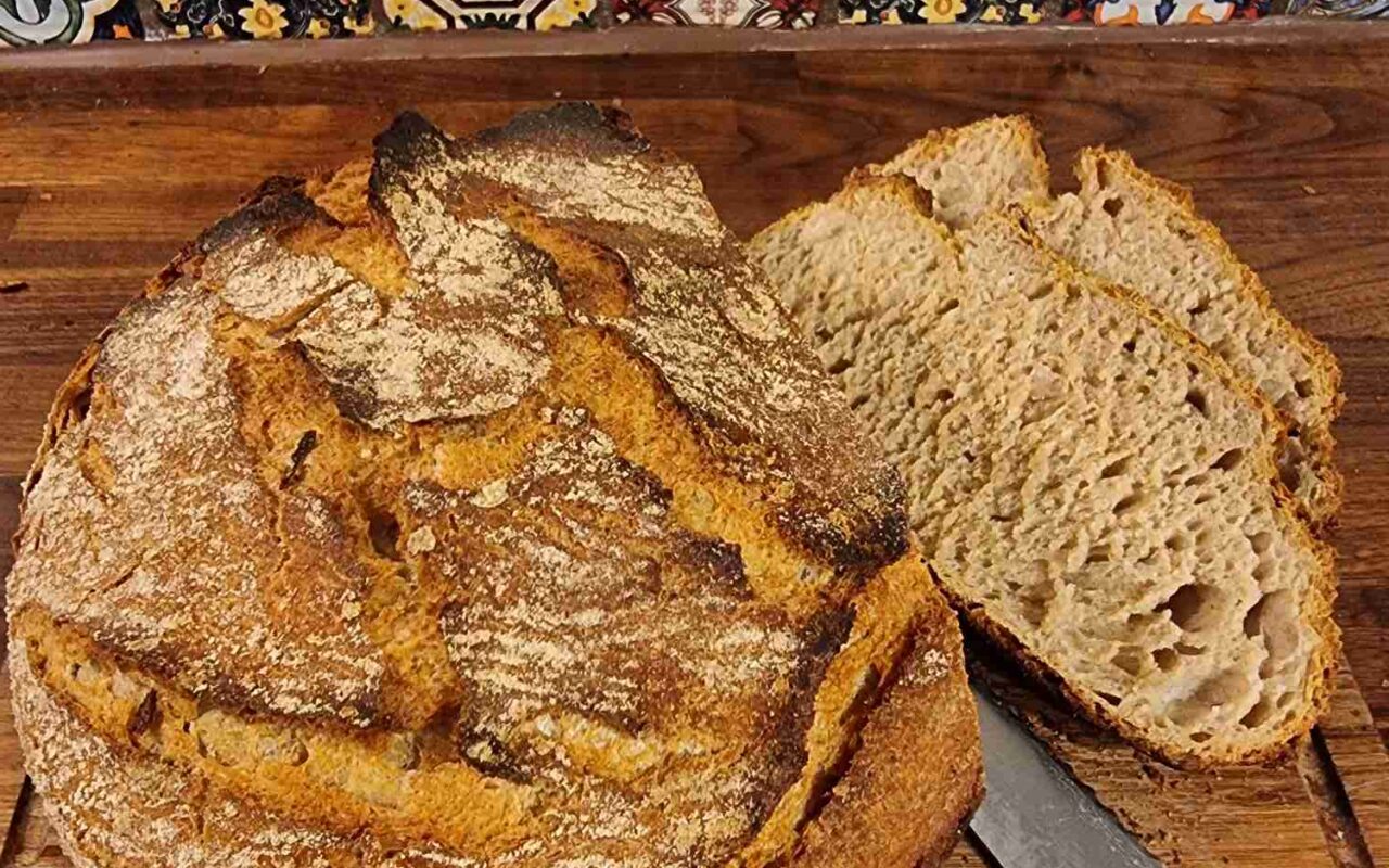 Hjemmebagt morgenbrød